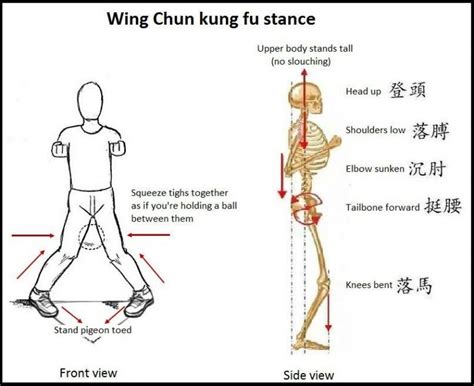 Wing chun near me - If you want to learn Wing Chun, start by learning about the center line theory, which involves protecting an invisible line that stretches down the middle of your body …